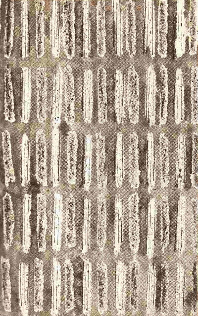 Dostojevskij F. Spelaren (used)